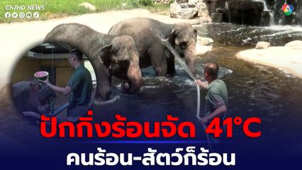 จีนอากาศร้อนจัด กรุงปักกิ่ง 41 องศาเซลเซียส สวนสัตว์ปักกิ่งต้องหาวิธีคลายร้อนให้กับสัตว์