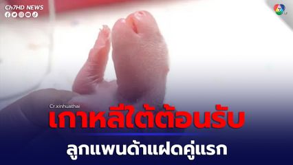 สวนสัตว์เกาหลีใต้ต้อนรับลูกแพนด้าแฝดคู่แรกที่เกิดในประเทศ