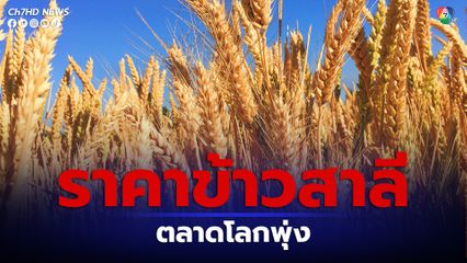 ราคาข้าวสาลีตลาดโลกพุ่งไม่หยุด