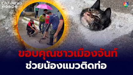 ชื่นชมชาวจันทบุรี ช่วยชีวิตน้องแมวติดท่อท่ามกลางสายฝน