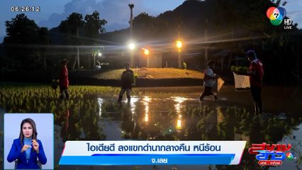 ภาพเป็นข่าว : ไอเดียดี ลงแขกดำนากลางคืน หนีร้อน