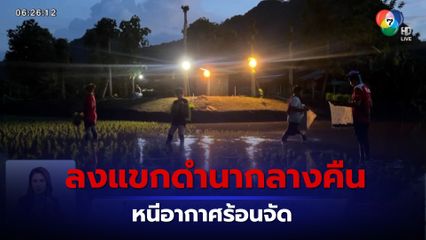 ภาพเป็นข่าว : ไอเดียดี ลงแขกดำนากลางคืน หนีร้อน