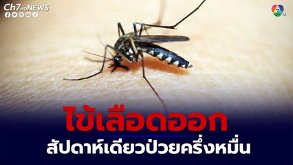 ไข้เลือดออก สัปดาห์เดียวป่วยครึ่งหมื่น เล็งใช้ กม.ควบคุมโรค ลดป่วย-ตาย