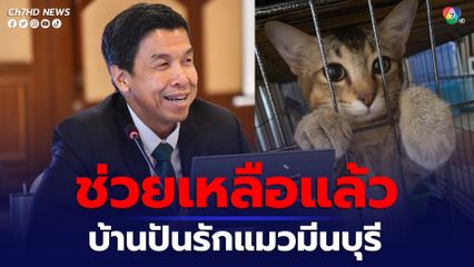กทม. ช่วยเหลือแมวบ้านปันรักแมวมีนบุรี หลักการคือต้องทำหมันให้ได้มากที่สุด
