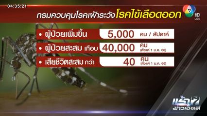 ไข้เลือดออกระบาด เตรียมประกาศพื้นที่ควบคุม