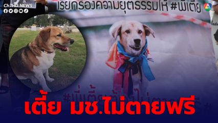 เตี้ย มช.ไม่ตายฟรี 3 ปีผ่านไป ศาลสั่งคุก 6 เดือนไม่รอลงอาญา ส.ต.ท.มืออุ้ม