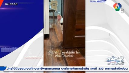 เสกคาถาพลางตัว บังมิดเลยยังไงก็มองไม่เห็น