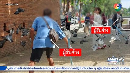 เที่ยวประตูท่าแพ ถ่ายรูปกับนกพิราบ ระวังทำผิดกฎหมาย จ.เชียงใหม่
