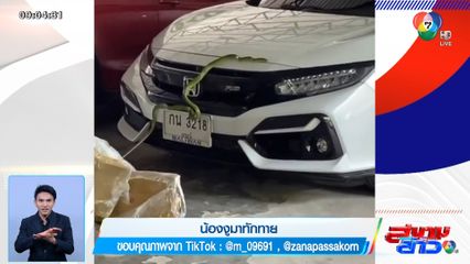 ภาพเป็นข่าว : น้องงูมาทักทาย