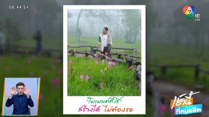 หยิบหมอก หยอกดอกกระเจียว เที่ยวชัยภูมิ