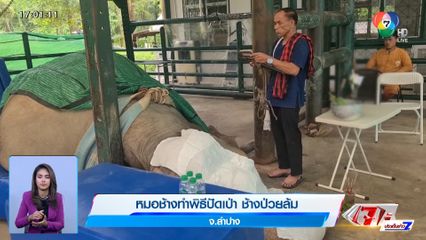 หมอช้างทำพิธีปัดเป่า ช้างป่วยล้ม จ.ลำปาง