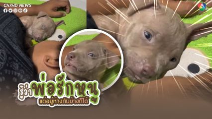 หมาน้อยสะดุ้งตื่นตาเหลือก หลังได้ยินพ่อกรนเสียงดัง
