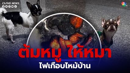 ตั้งหม้อต้มหมูให้หมา ไฟเกือบไหม้บ้านวอด