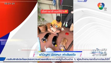 วิธีแก้ปัญหาน้องหมาเห่าเสียงดัง เมื่อช่างมาล้างแอร์ที่บ้าน