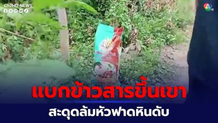 สลดใจสามีแบกข้าวสารขึ้นเขาให้เมีย สะดุดก้อนหินหัวฟาดเสียชีวิต