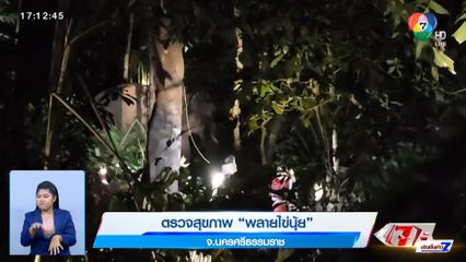 ตรวจสุขภาพ พลายไข่นุ้ย จ.นครศรีธรรมราช