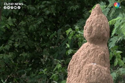 จอมปลวกคล้ายพระพุทธรูป ยืนเด่นข้างทางชาวบ้านเชื่อมาให้โชค