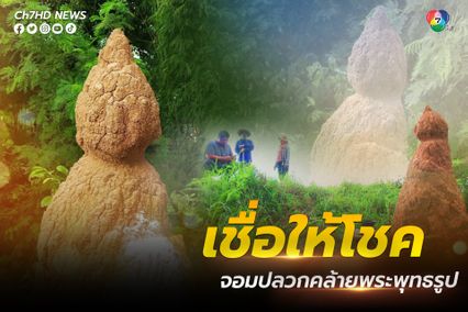 จอมปลวกคล้ายพระพุทธรูป ยืนเด่นข้างทางชาวบ้านเชื่อมาให้โชค