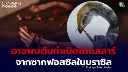 นักบรรพชีวินวิทยาเชื่อซากฟอสซิลที่พบในบราซิล อาจชี้ให้เห็นต้นกำเนิดของไดโนเสาร์ได้