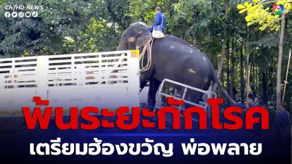 พลายศักดิ์สุรินทร์ พ้นระยะกักโรค เตรียมฮ้องขวัญ 28 ส.ค.นี้