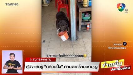 สุนัขแสนรู้ "เจ้ากล้วยปิ้ง" คาบตะกร้าชวนคนทำบุญสร้างโบสถ์