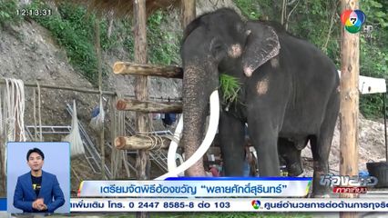 เตรียมจัดพิธีฮ้องขวัญ พลายศักดิ์สุรินทร์