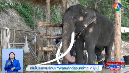 เริ่มโปรแกรมรักษา พลายศักดิ์สุรินทร์ 1 ก.ย.นี้