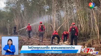 ไฟป่าพรุควนเคร็ง ลุกลามขยายวงกว้าง จ.นครศรีธรรมราช