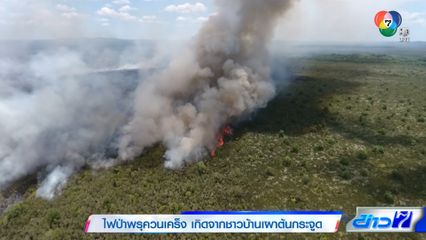 ไฟป่าพรุควนเคร็ง เกิดจากชาวบ้านเผาต้นกระจูด