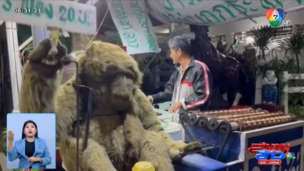 ภาพเป็นข่าว : ไอเดียเจ๋ง ลิงปิ้งไข่ เพิ่มยอดขาย จ.จันทบุรี