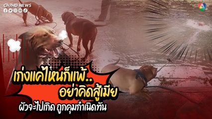 เก่งแค่ไหนก็แพ้..อย่าคิดสู้เมีย ผัวจะไปเกิด ถูกคุมกำเนิดทัน