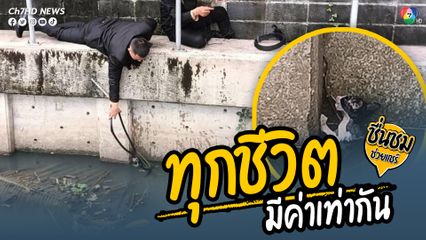หนุ่ม 2 คนไปเจอลูกแมวตกอยู่ในน้ำ ไม่รอช้า รีบช่วยชีวิตทันที เผย “ทุกชีวิตมีค่าเท่ากัน”