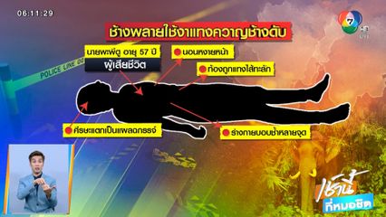 ยิงยาสลบช้างพลายใช้งาแทงควาญช้างดับ จ.ตาก