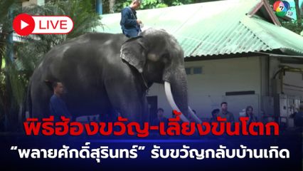 LIVE :  พิธีฮ้องขวัญ-เลี้ยงขันโตก “พลายศักดิ์สุรินทร์” รับขวัญกลับบ้านเกิด