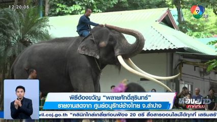 พิธีฮ้องขวัญ พลายศักดิ์สุรินทร์ จ.ลำปาง