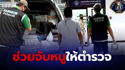 ช่วยด้วย ตำรวจกองปราบฯร้องขอให้สำนักอนามัย กทม. ช่วยจับหนูในศูนย์รับแจ้งความ บช.ก. 