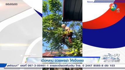 เมื่อหลานอวยพรให้คุณย่าแข็งแรง คุณย่าเลยปีนต้นมะยมโชว์