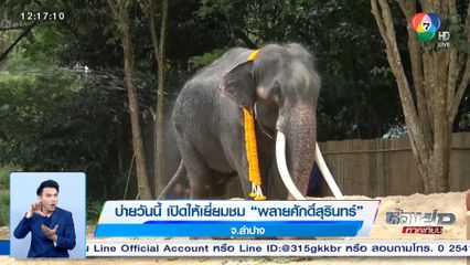 บ่ายวันนี้ เปิดให้เยี่ยมชม พลายศักดิ์สุรินทร์ จ.ลำปาง