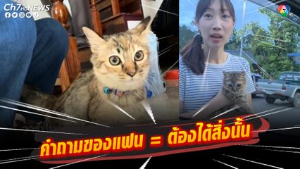 สาวเจอน้องแมวที่ปั๊มน้ำมัน อุ้มมาโชว์แฟนหนุ่มสนใจอยากนำไปเลี้ยง เพราะเป็นห่วง