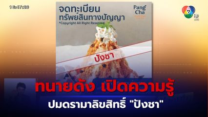 ทนายดัง เปิดความรู้ ปมดรามาลิขสิทธิ์  ปังชา อะไรเข้าข่ายละเมิด