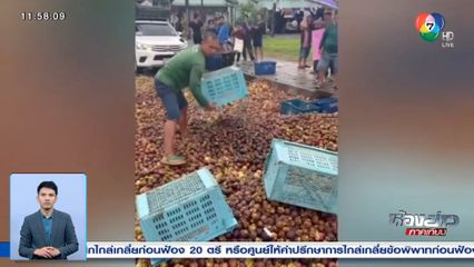 ล้งจีนฮั้วราคา ทำมังคุดราคาตก จ.นครศรีธรรมราช