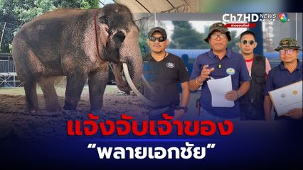 แจ้งจับเจ้าของช้างพลายเอกชัย หมิ่นเบื้องสูง