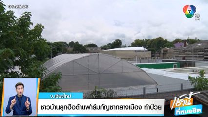 ชาวบ้านลุกฮือต้านฟาร์มกัญชากลางเมือง ทำป่วย จ.เชียงใหม่