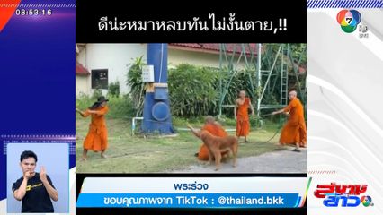 ภาพเป็นข่าว : พระร่วง! ดีนะหมาหลบทัน