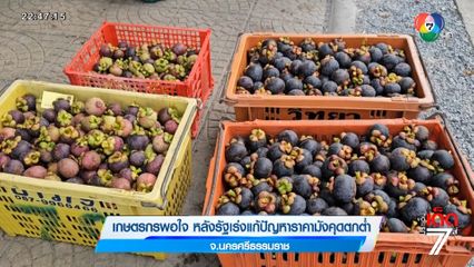 เกษตรกรพอใจ หลังรัฐเร่งแก้ปัญหาราคามังคุดตกต่ำ จ.นครศรีธรรมราช