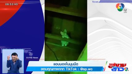 ภาพเป็นข่าว : แอบมองในมุมมืด