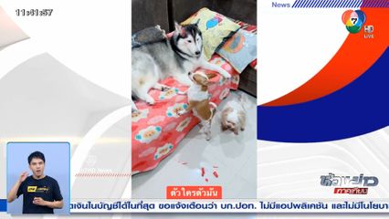 วีรกรรมของแก๊งสามตัวตึง พลังทำลายล้างสูง