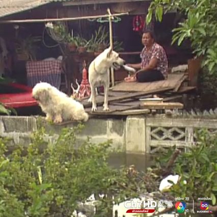 ภาพเก่าเล่าเรื่อง : สิงหาคม 2538 น้ำท่วม "ไวต์เฮาส์" จมบาดาลนาน 2 เดือน