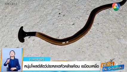 เช้านี้กับ บี กมลาสน์ : หนุ่มโพสต์สัตว์ประหลาดหัวคล้ายค้อน เขมือบเหยื่อ จ.เพชรบูรณ์