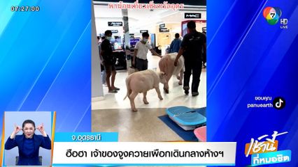 ฮือฮา เจ้าของจูงควายเผือกเดินกลางห้างฯ จ.อุดรธานี